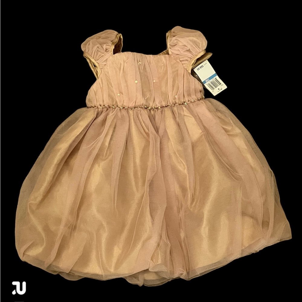Beautiful dress with gold as the outer lay over antique rose.